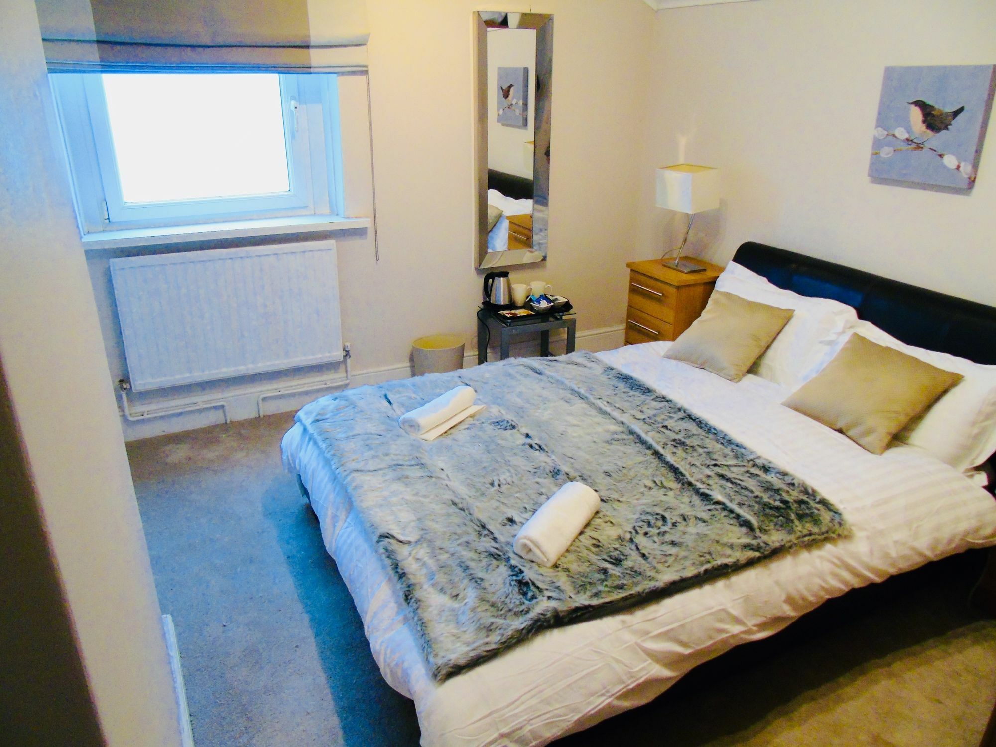 Willows - Cardiff Guest House المظهر الخارجي الصورة